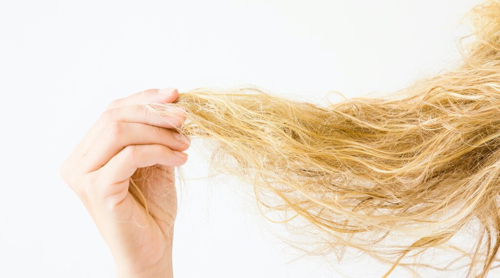 ✅Everything You Need to Know: What Does Damaged Hair Look Like & How to Repair Damaged Hair - SAVE ME FROM