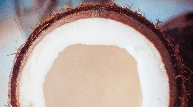 Ultimate Guide: Coconut Oil 🥥 For Hair Benefits in 2023 - SAVE ME FROM