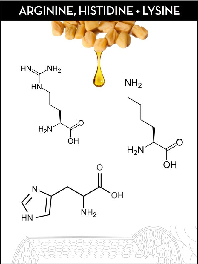 Hair Repair Peptides and Amino Acids in Save Me From Hair Repair Treatments