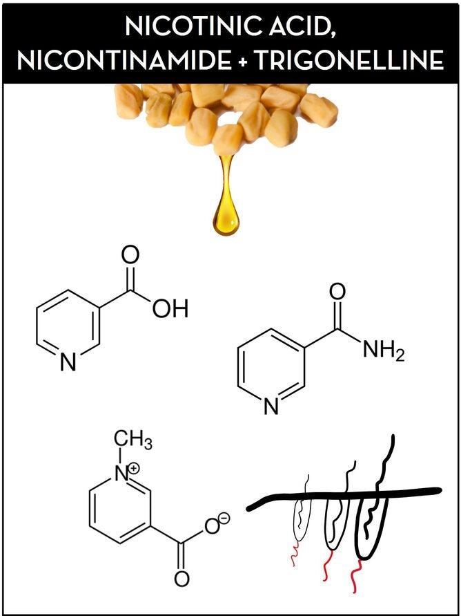 benefits of niacinamide for hair found in save me from hair repair treatments